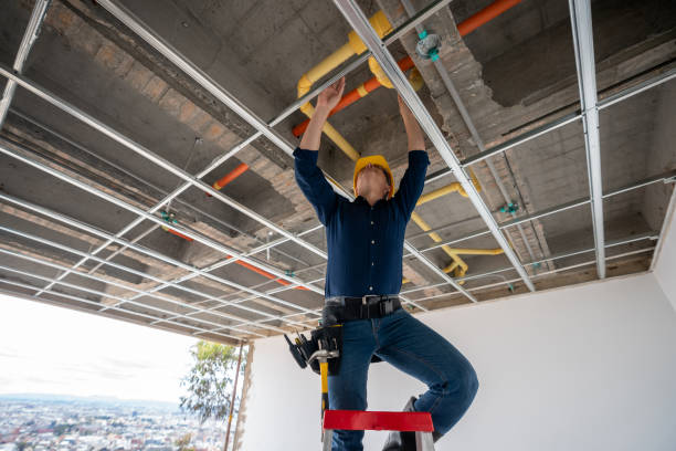 Best Affordable Plumbing Services  in Forest, VA